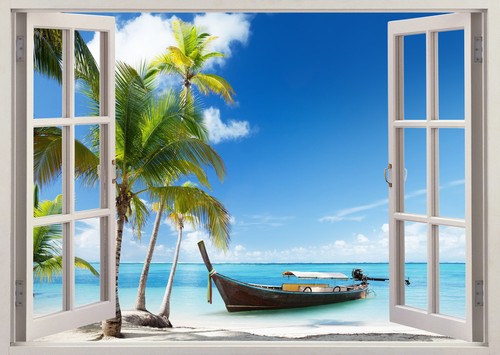 Beach palm trees water - trees,
