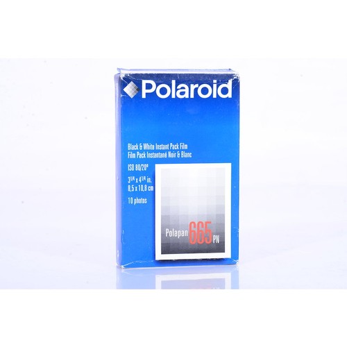Polaroid instant film - instant, b+w