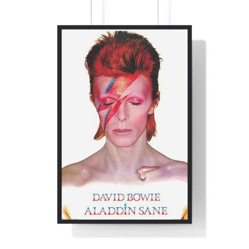 David bowie aladdin - david,
