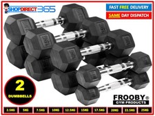 Hex Dumbbells Set Pair Ergo