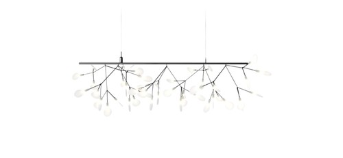 Two heracleum endless - two,