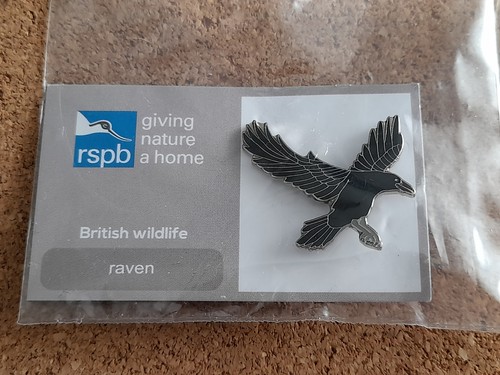 Rspb raven flying - rspb, 8