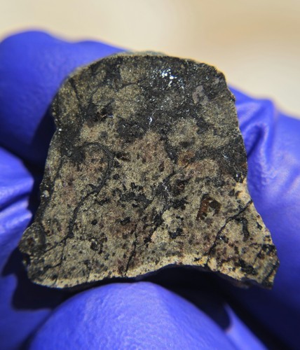 Amgala 001 martian meteorite - martian,