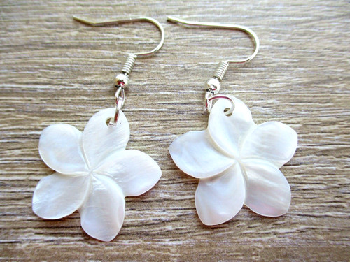 Mother pearl natural shell - mother,