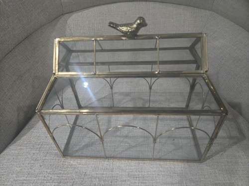 Glass terrarium centerpiece - glass,