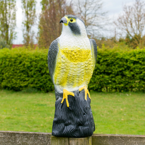 Kct large hawk garden decor - large,