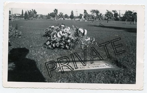 Snapshot photo cemetery - snapshot, /