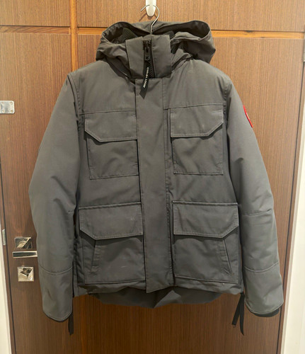 Canada goose arctic - goose, program
