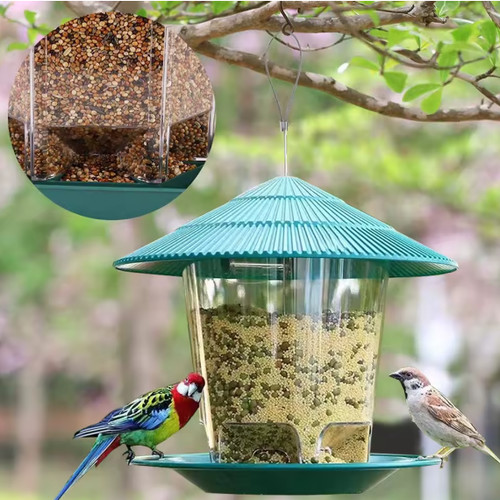 Hanging wild bird feeder - bird,