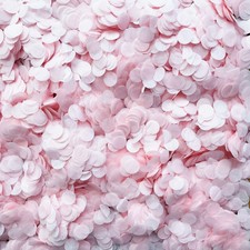 Biodegradable Circle Confetti