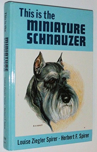 Miniature schnauzer this is - miniature, (this