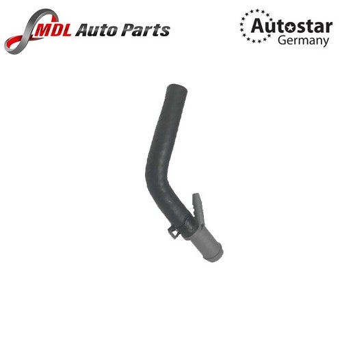 Autostar throttle body - throttle,