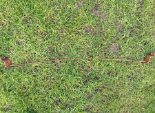 Westwood PGC Sweeper Cable