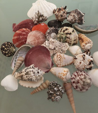 Mixed large natural - natural, sea