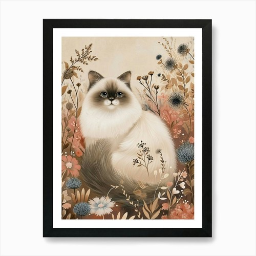 Himalayan cat japanese - himalayan,