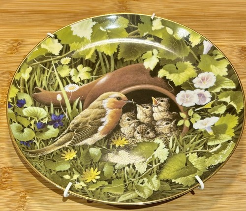 Coalport decorative plates - coalport,