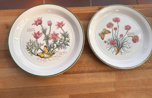 Enoch wedgwood florabunda - wedgwood,