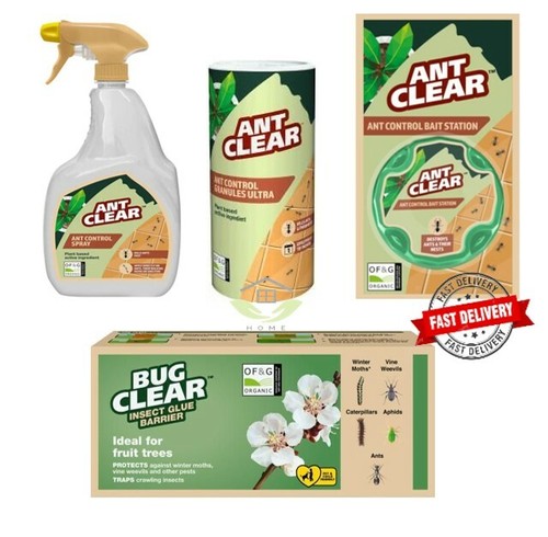 Ant clear bait - ant,