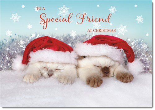 Doodlecards special friend - doodlecards,