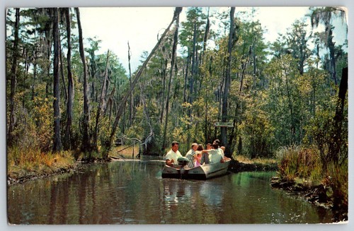 Okefenokee swamp park - swamp, nr-