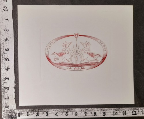 Wunderkammer exlibris 490 - 490,