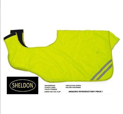 Yellow viz riding ride - hi,