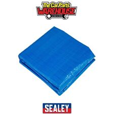 Sealey DL45 Dellonda Swimming Pool Ground Sheet for DL19
