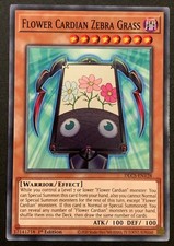 Flower Cardian Zebra Grass |