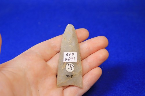 Authentic prehistoric dalton - authentic,