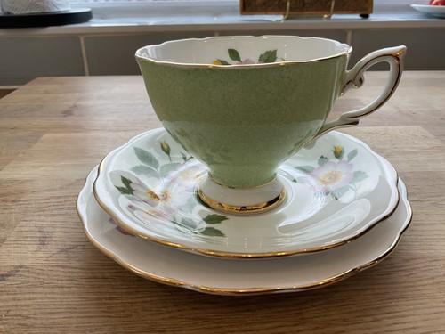 Royal standard harlequin green - standard,