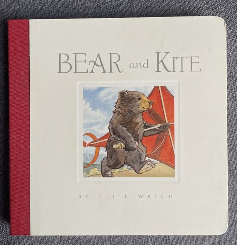 Bear and kite - kite, cliff