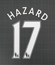 HAZARD #17 2007-2013 Player