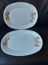 2 x Vintage JAJ Pyrex Autumn