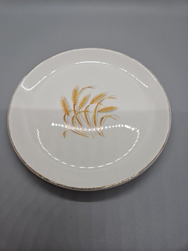 Vintage homer laughlin golden - vintage,
