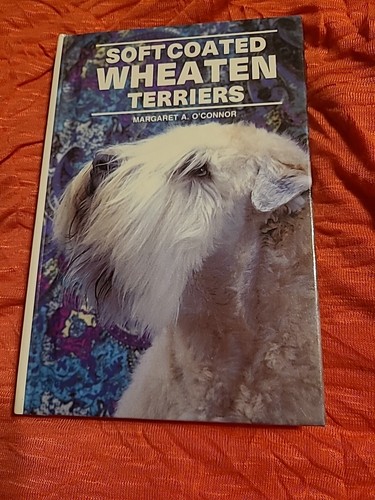 Soft coated wheaten - coated, terriers