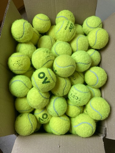 Used tennis balls great - 50,