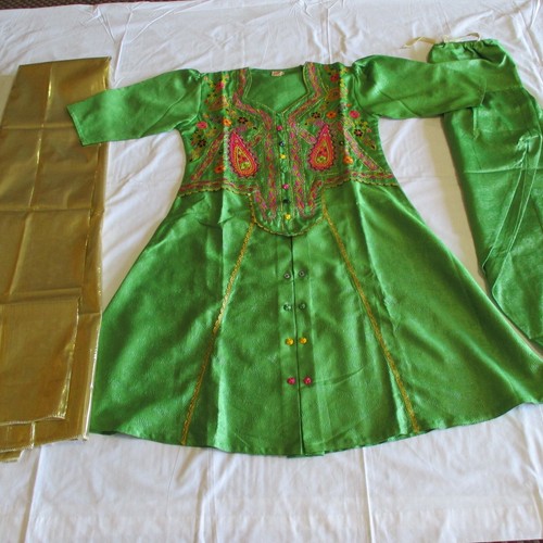 Parrot green gold splendid - gold,