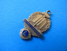 District Chairman Lions Club Badge
