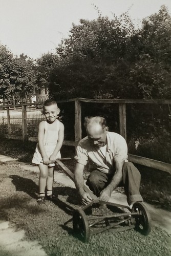 Push lawn mower father son - push,