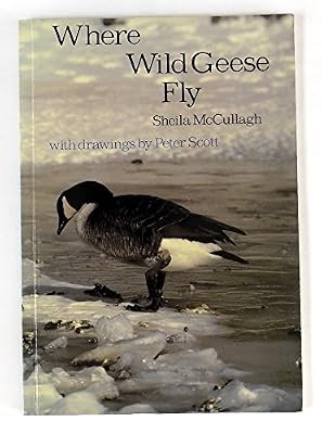 Where wild geese fly - where,
