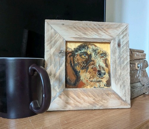 Dachshund dog portrait - dachshund,