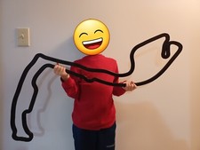 Large 36" Monaco F1 3D Race