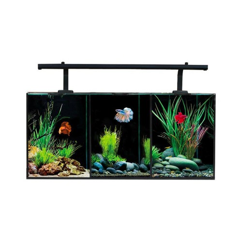 Aqua one betta trio - one,