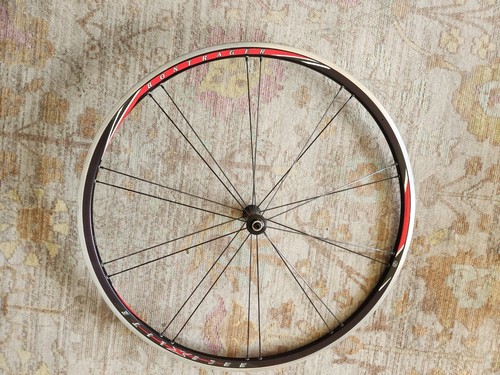 Bontrager race lite front - race, x