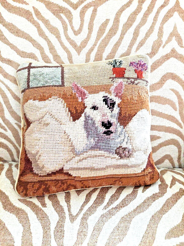 Jack russell bull terrier dog - russell,