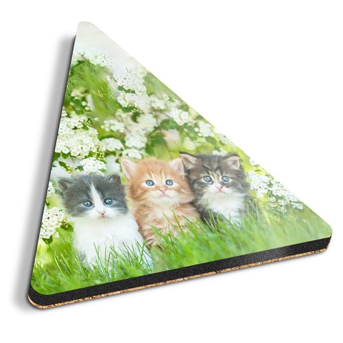 Triangle coaster gorgeous - 1x,