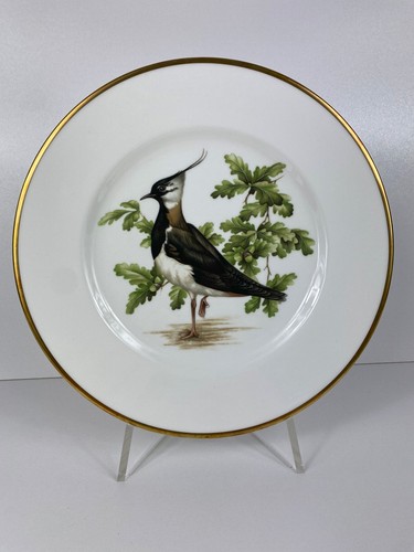 Coalport british birds - birds, lapwing