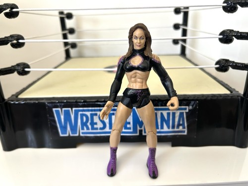 Wwe ivory wrestling - ivory, figure