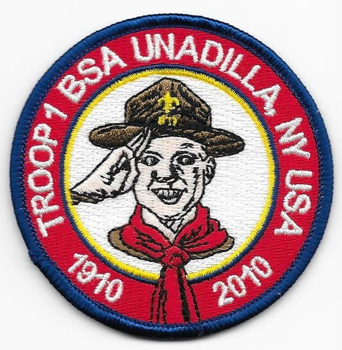 2010 unadilla new york - new, council