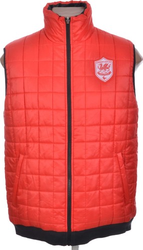 Cardiff city 2010s football - city,